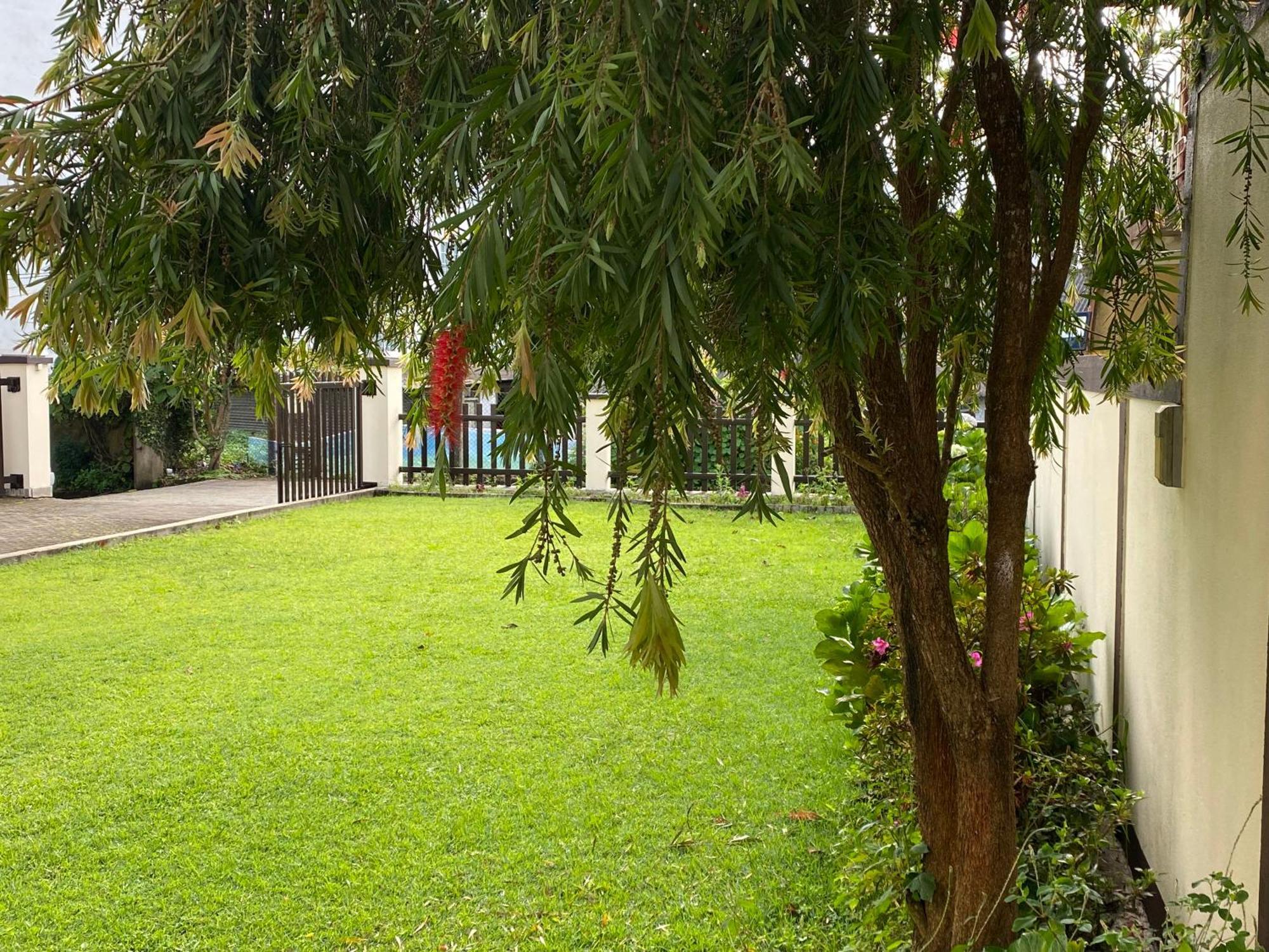 נוארה אליה Villa Cassandra מראה חיצוני תמונה