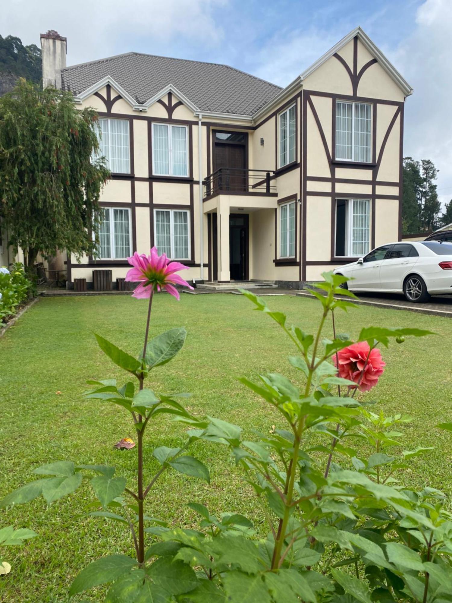 נוארה אליה Villa Cassandra מראה חיצוני תמונה